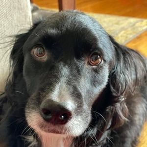 Meet your Posher, Marcus